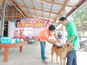 โครงการควบคุมและป้องกันโรคพิษสุนัขบ้า